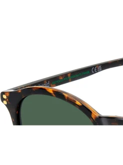 Zonnebril|Polaroid Havanas Panthos Brown Sunglasses
