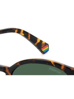 Zonnebril|Polaroid Havanas Panthos Brown Sunglasses
