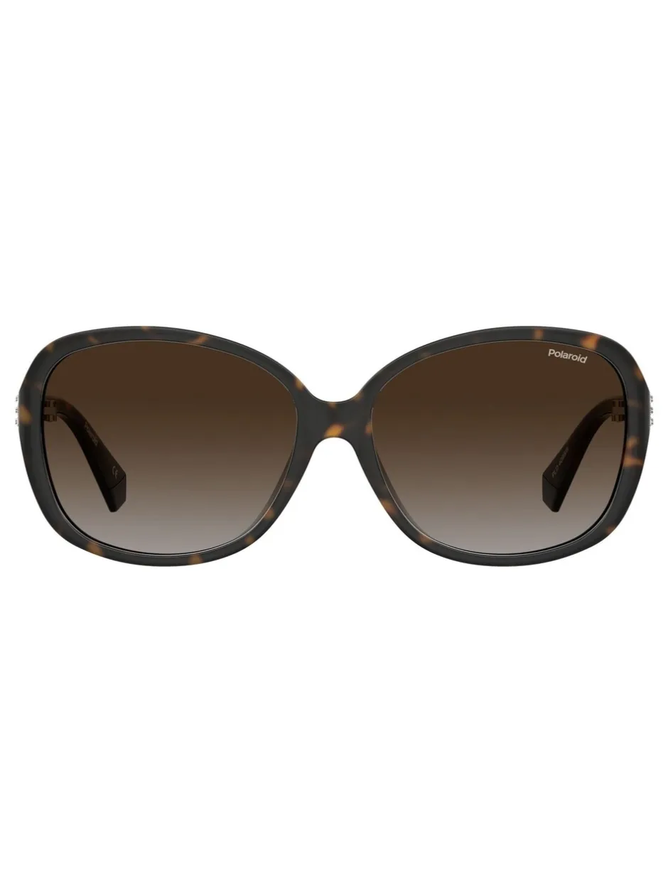 Zonnebril*Polaroid 4098/S Butterfly Brown Sunglasses