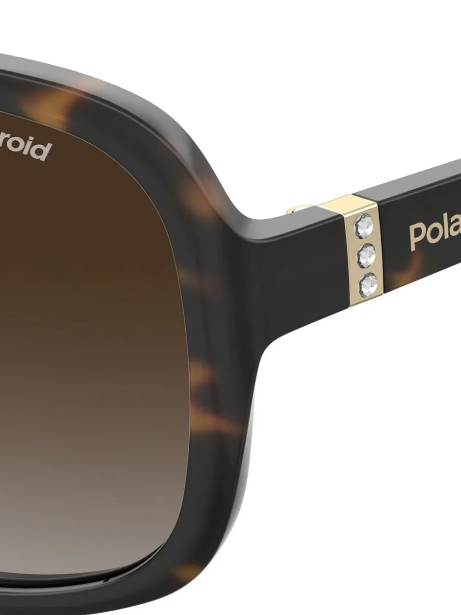 Zonnebril*Polaroid 4098/S Butterfly Brown Sunglasses