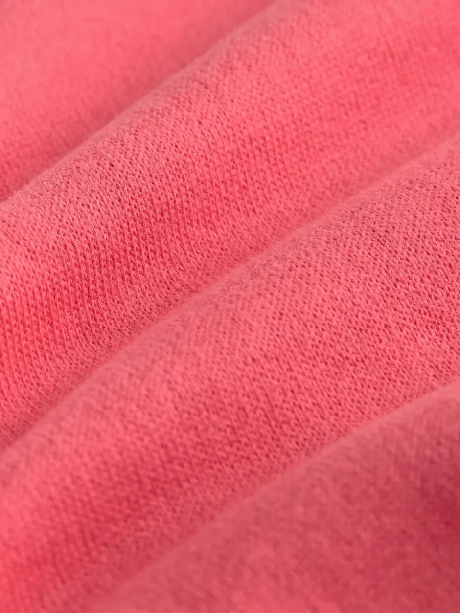 Sweaters En Hoody´S|Next Rood met hond - Sweatshirt met ronde hals (3 mnd-7 jr)