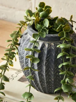 Kunstbloemen|Next Scandi kleine kunsthangplant