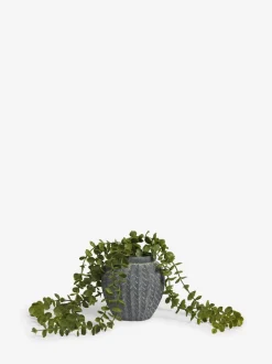 Kunstbloemen|Next Scandi kleine kunsthangplant