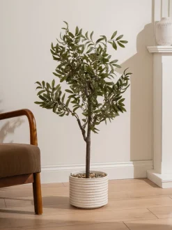 Kunstbloemen*Scottish Everlastings Ltd Artificial Olive Tree in Ceramic Pot