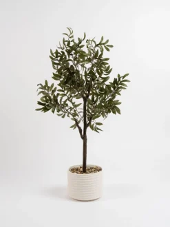 Kunstbloemen*Scottish Everlastings Ltd Artificial Olive Tree in Ceramic Pot