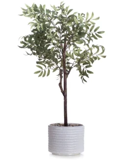 Kunstbloemen*Scottish Everlastings Ltd Artificial Olive Tree in Ceramic Pot