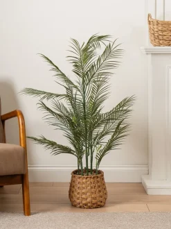 Kunstbloemen*Scottish Everlastings Ltd Artificial Palm Tree in Basket