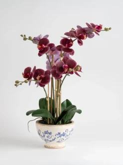 Kunstbloemen|Scottish Everlastings Ltd Artificial Real Touch Phalaenopsis Orchid in Pot