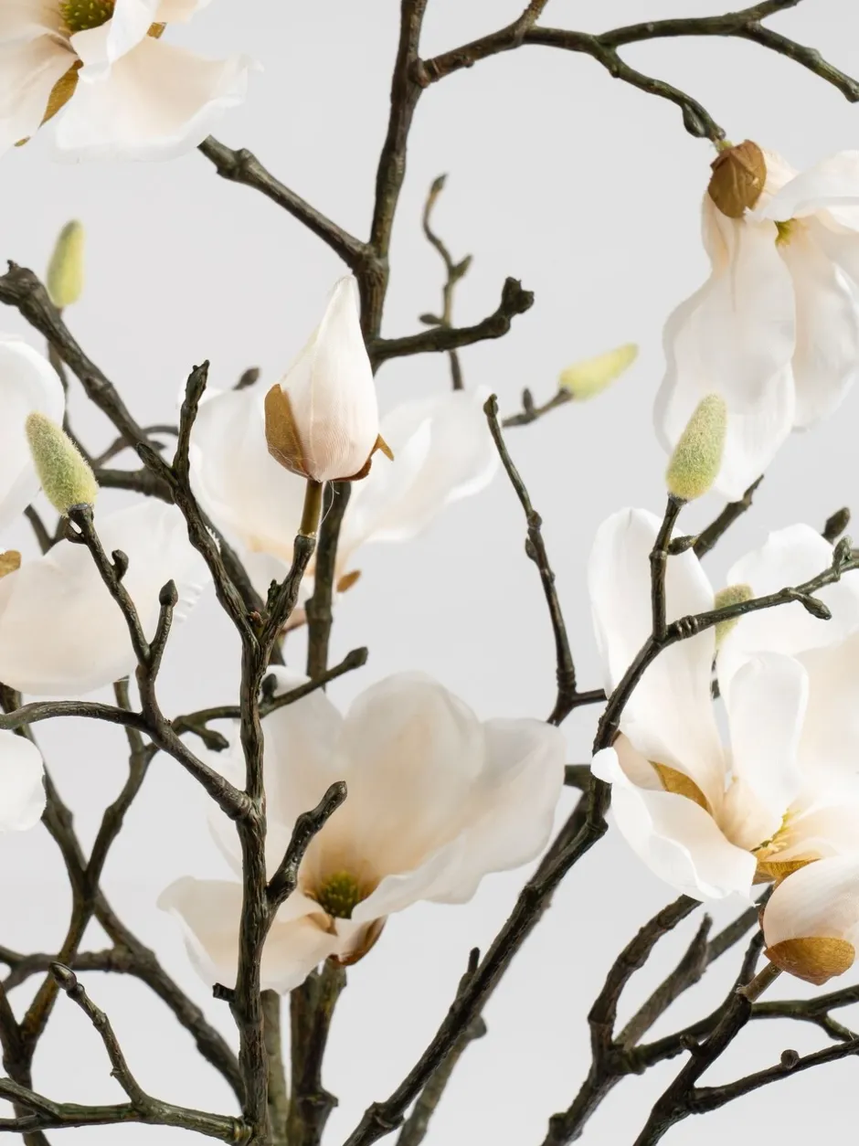 Kunstbloemen|Scottish Everlastings Ltd Artificial Magnolia In Resin Pot