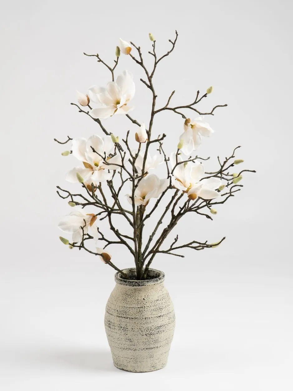 Kunstbloemen|Scottish Everlastings Ltd Artificial Magnolia In Resin Pot