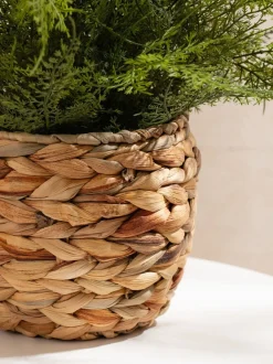 Kunstbloemen|Scottish Everlastings Ltd Artificial Fern in Basket