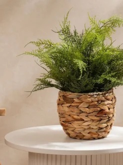 Kunstbloemen|Scottish Everlastings Ltd Artificial Fern in Basket