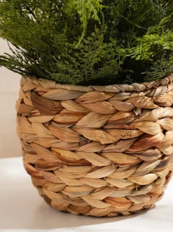 Kunstbloemen|Scottish Everlastings Ltd Artificial Fern in Basket