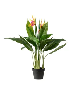 Kunstbloemen*Scottish Everlastings Ltd Artificial Bird of Paradise Tree with Flower