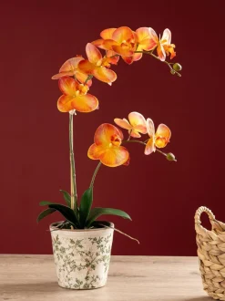Kunstbloemen|Scottish Everlastings Ltd Artificial Real Touch Orchid