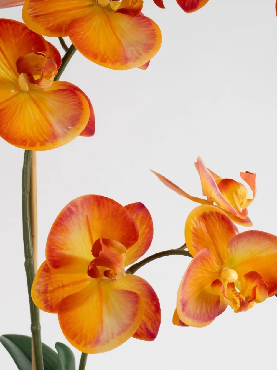 Kunstbloemen|Scottish Everlastings Ltd Artificial Real Touch Orchid