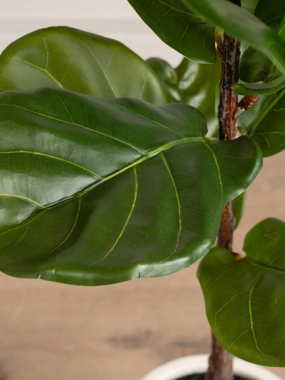 Kunstbloemen|Scottish Everlastings Ltd Artificial Fig Tree in Chunky Pot