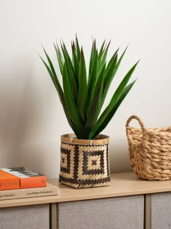 Kunstbloemen|Scottish Everlastings Ltd Artificial Aloe in Basket
