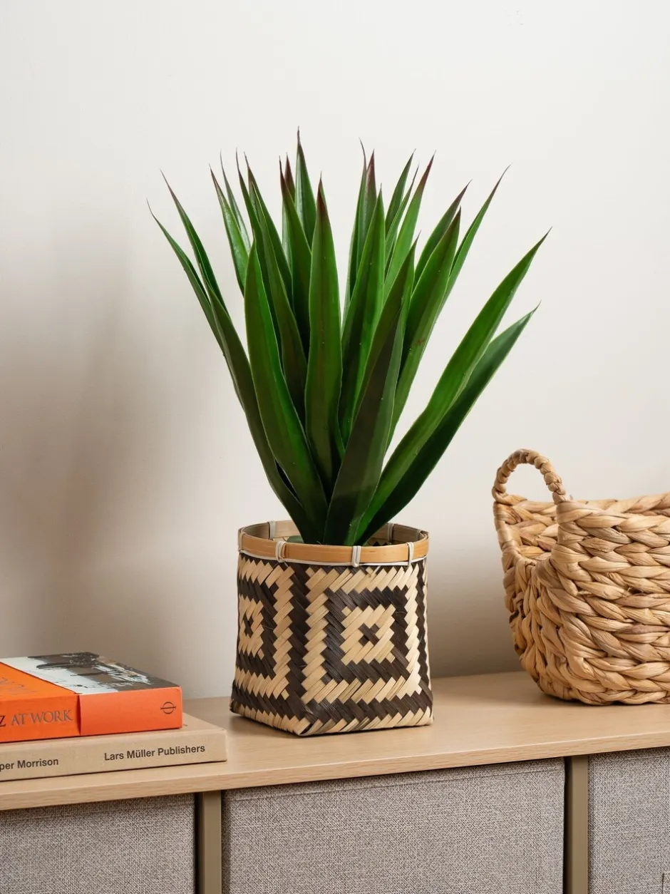 Kunstbloemen|Scottish Everlastings Ltd Artificial Aloe in Basket