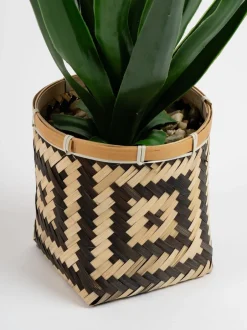 Kunstbloemen|Scottish Everlastings Ltd Artificial Aloe in Basket