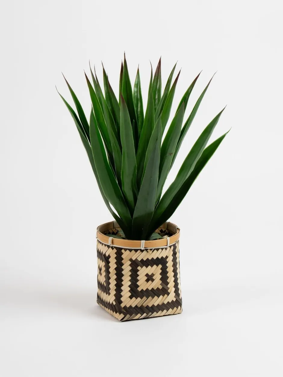 Kunstbloemen|Scottish Everlastings Ltd Artificial Aloe in Basket