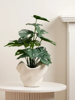 Kunstbloemen*Scottish Everlastings Ltd Artificial Variegated Monstera in Cement Pot