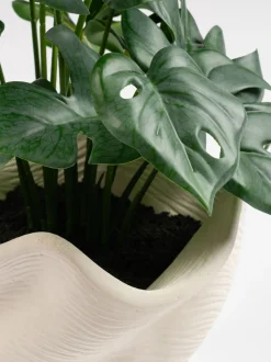 Kunstbloemen*Scottish Everlastings Ltd Artificial Variegated Monstera in Cement Pot