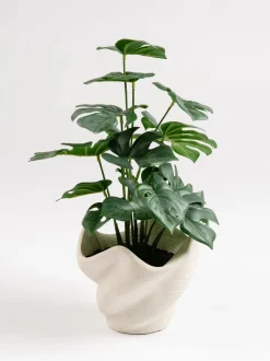 Kunstbloemen*Scottish Everlastings Ltd Artificial Variegated Monstera in Cement Pot