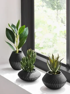 Kunstbloemen*Next Set of 3 Artificial Succulents In Black Bronx Pots