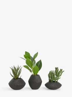 Kunstbloemen*Next Set of 3 Artificial Succulents In Black Bronx Pots