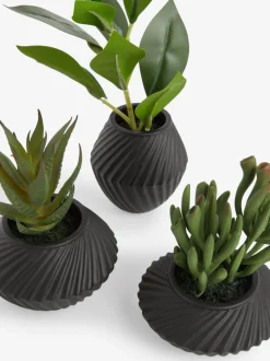 Kunstbloemen*Next Set of 3 Artificial Succulents In Black Bronx Pots