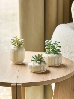 Kunstbloemen|Next Set of 3 Succulents In Ribbed Plant Pots