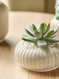 Kunstbloemen|Next Set of 3 Succulents In Ribbed Plant Pots