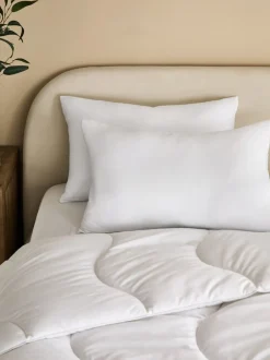 Dekbedden En Kussens|Next Set of 2 Ultra Allergy Defence Pillows