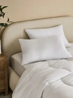 Dekbedden En Kussens|Next Set of 2 Ultra Allergy Defence Pillows