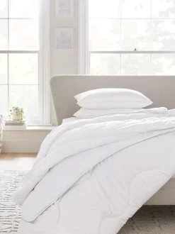 Dekbedden En Kussens|Next Sleep In Silk dekbed
