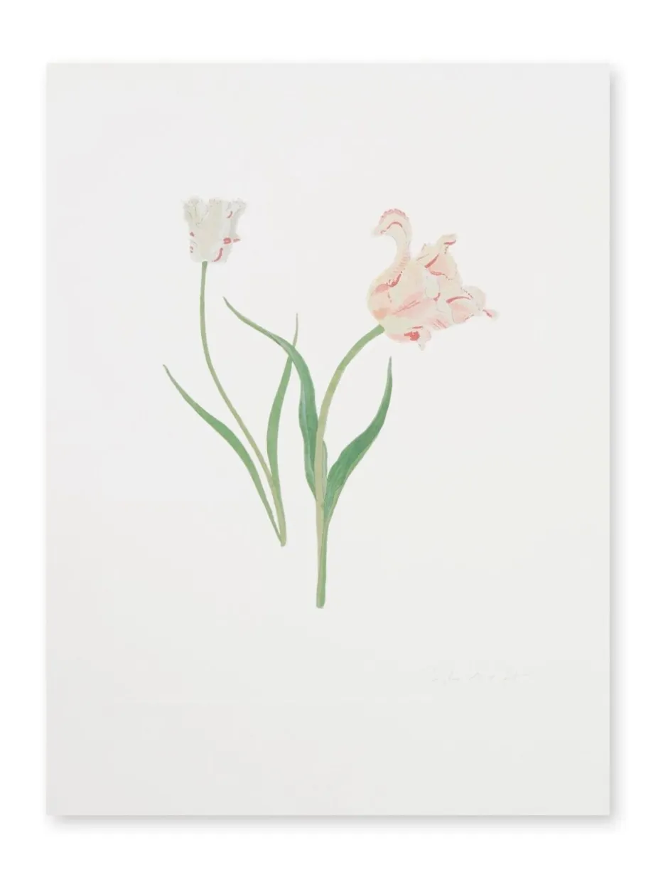 Canvassen En Kunst Voor Aan De Wand*Sophie Allport Tulpen Print Kunstwerk