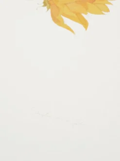 Canvassen En Kunst Voor Aan De Wand|Sophie Allport Zonnebloem Watercolour Print