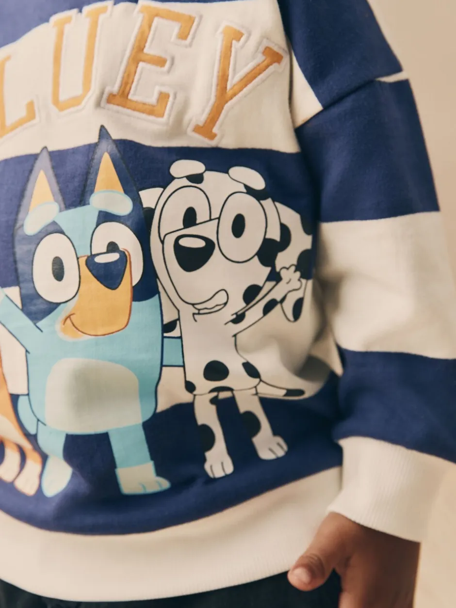 Sweaters En Hoody´S*Next Wit/blauw gestreept - Bluey sweatshirt van katoen met ronde hals (12mnd -8jr)