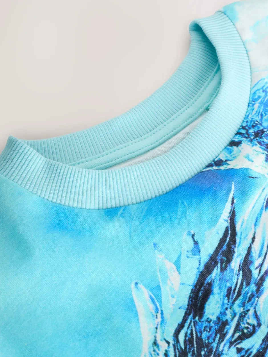 T-Shirts|Tops|Next Wit/blauwe Dragon - T-shirt met normale pasvorm, korte mouwen en all-over print (3-16jr)
