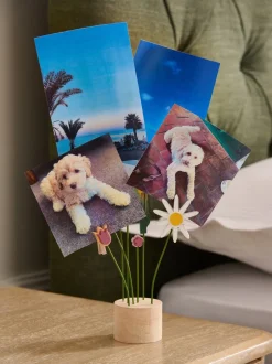 Fotolijsten*Next Wooden Flowers Photo Holder