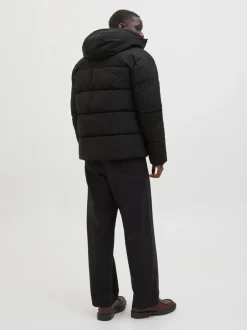 Jassen En Jacks|JACK & JONES - - Gewatteerd jack met capuchon Zwart